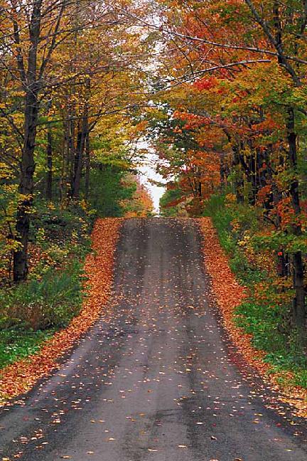 Benefits of running hills